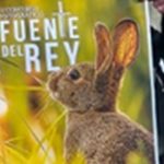 concurso fotográfico
