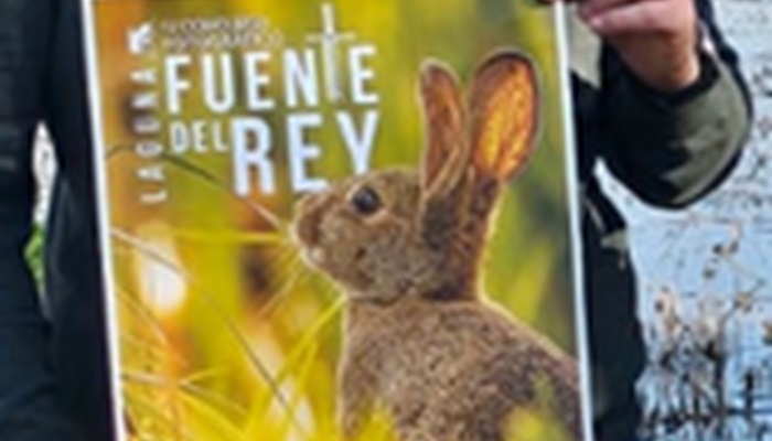 concurso fotográfico