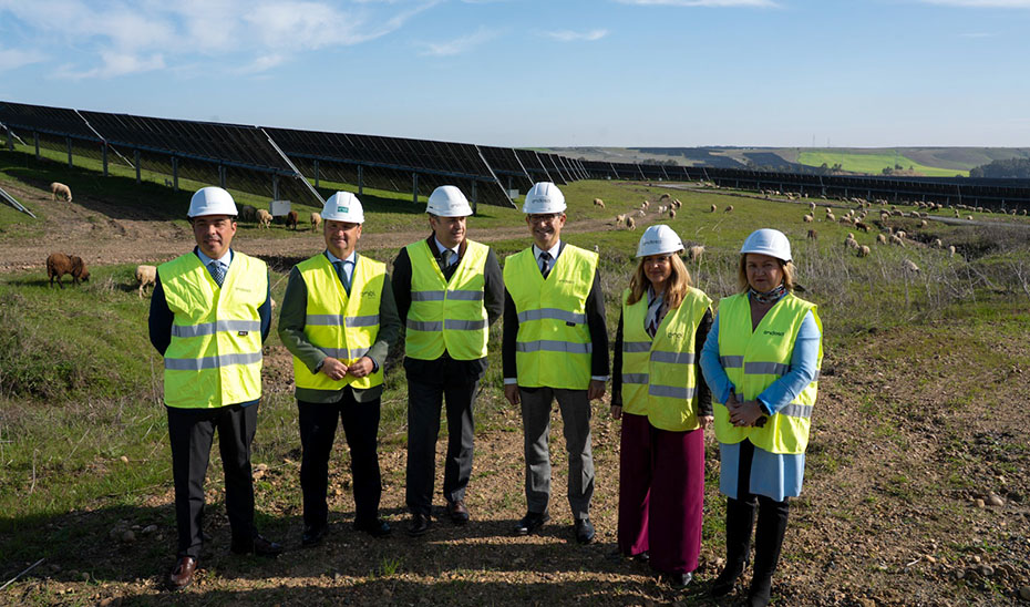El consejero de Industria, Energ&iacute;a y Minas, Jorge Paradela, en un momento de la inauguraci&oacute;n de las plantas fotovoltaicas Envatios I, II y III de Endesa en Carmona.